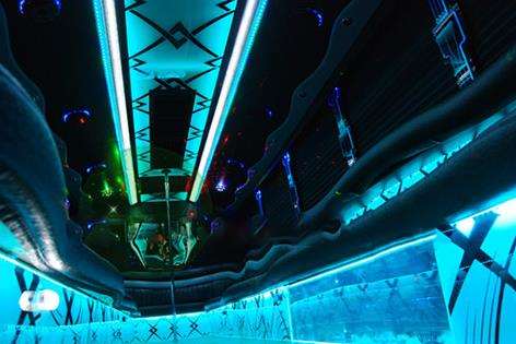 Party Buses Schererville 